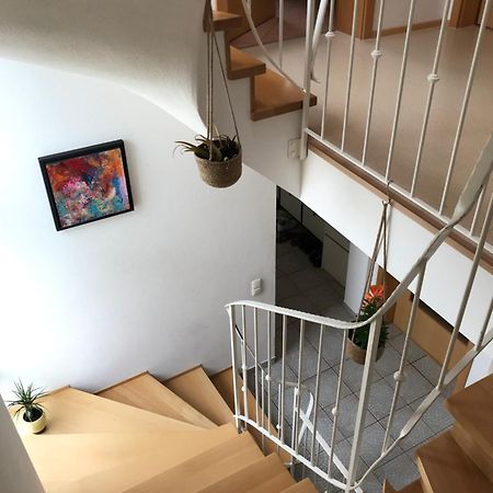 Appartamento House With Castle View & Art Günzburg Esterno foto